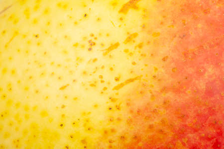 Pear skin surface texture pattern close up detail macro. Abstract background. Close-up.の写真素材