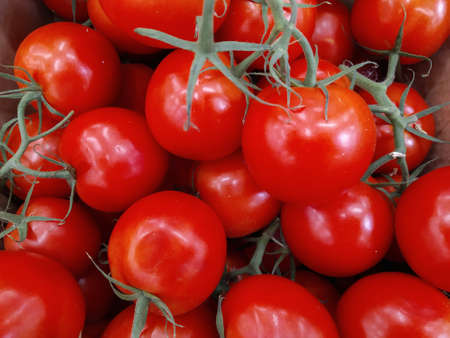 Delicious red tomatoes. Summer tray market agriculture farm full of organic vegetables It can be used as background. selective focus . Close-upの写真素材