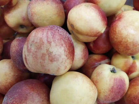 Closeup shot of fresh red and yellow apples. Limited depth of fieldの写真素材