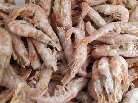 Pink fresh frozen shrimps with ice in a supermarket or fish shop. Uncooked seafood close up background. Fresh frozen prawns, delicacies, sea food concept, close up.の写真素材