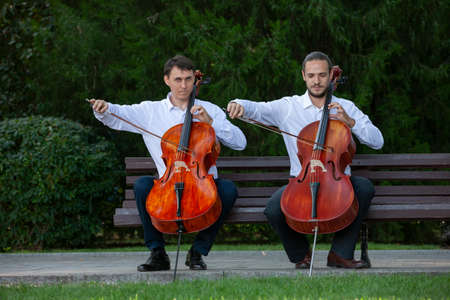 Cello. Cello playing is shown close up. Portraiteの写真素材