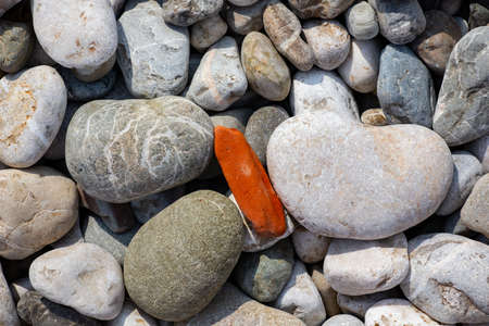Stones texture. Background the damp multi-colored pebbles close up soft focus from on the pebbly beach in cloudy weather. Limited depth of fieldの写真素材