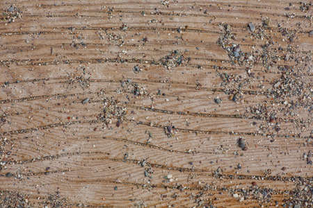 Grunge Wood panels for background. Limited depth of field. Close-up.の写真素材
