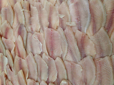 Fresh chilled fish lying on the ice. Fresh fish in the store Close-upの写真素材