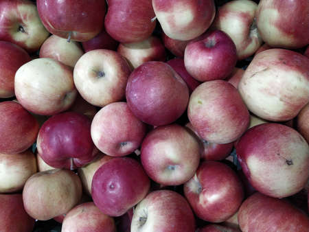 Group of red apples with their leaves. Close-upの写真素材