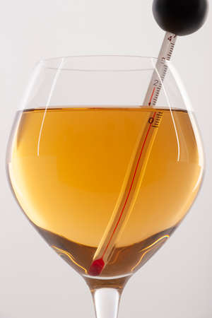 Measuring White Wine Temperature with a Wine Thermometer. Close-upの写真素材