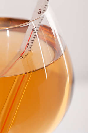 Measuring White Wine Temperature with a Wine Thermometer. Close-upの写真素材