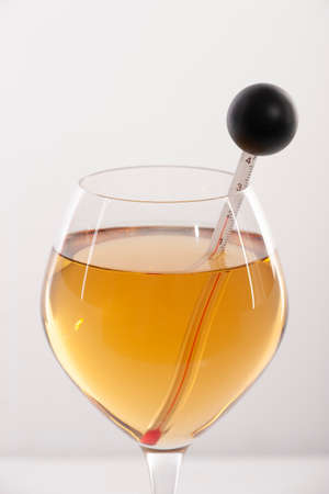 Measuring White Wine Temperature with a Wine Thermometer. Close-upの写真素材
