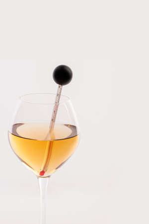 Measuring White Wine Temperature with a Wine Thermometer. Close-upの写真素材