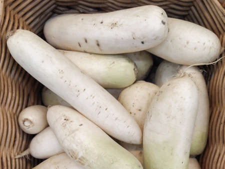 fresh radish on the shelf close-up Limited depth of fieldの写真素材