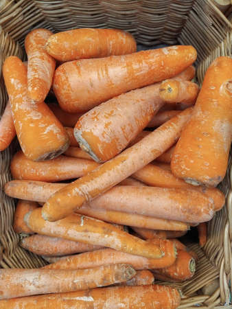 A lot of orange carrot at the market. Close-upの写真素材