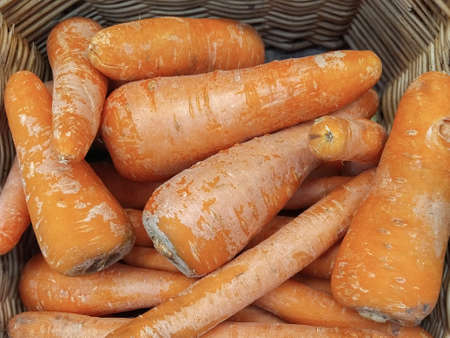 A lot of orange carrot at the market. Close-upの写真素材