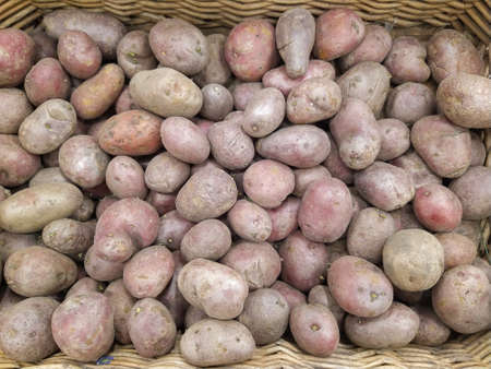 Raw potatoes, food background. Fresh potatoes Raw Organic Golden Potatoes in grocery store Close-upの写真素材