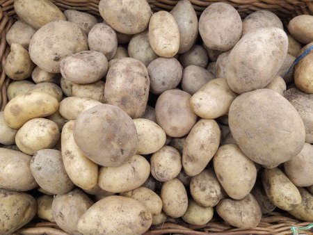 Raw potatoes, food background. Fresh potatoes Raw Organic Golden Potatoes in grocery store Close-upの写真素材
