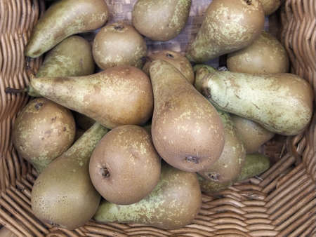 Pear texture: many pears collected in bunkers during harvest at the production stage. Close-upの写真素材