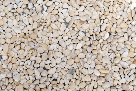 The floor is strewn with river pebbles.の写真素材