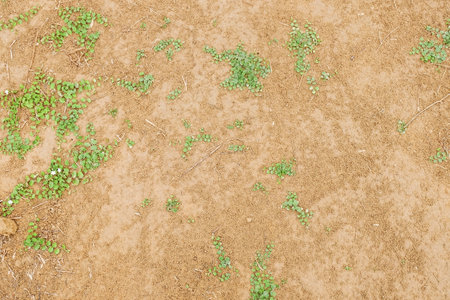 red earth floor material backgroundの写真素材
