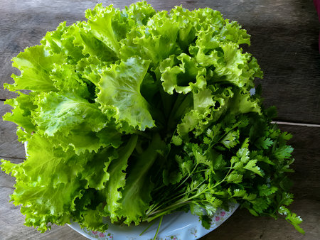 Lettuce and parsley in white plate on wooden table.の写真素材