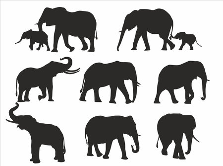 Vector set of silhouettes of elephants with their children in various poses. Goes, sits, plays, eatsのイラスト素材