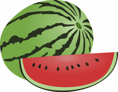Vector drawing of a watermelon with a cut wedge. A piece of large green striped berry. Summer red juicy fruit.のイラスト素材