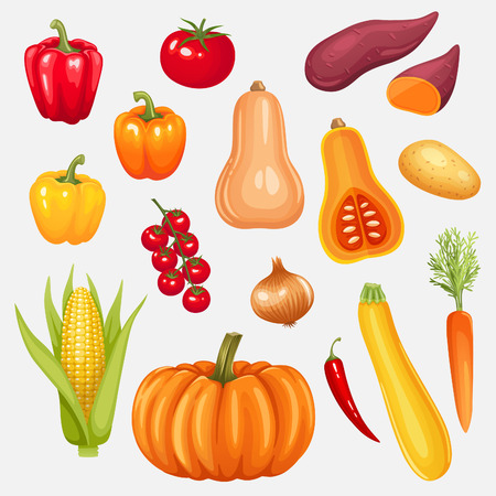 Set of fresh vegetables. Vector illustration.のイラスト素材