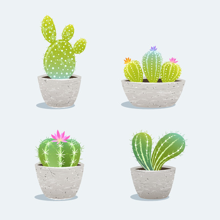 Set of four cactus in flower pot. Home plants. Vector Illustrationのイラスト素材
