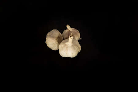 garlics on dark background.の写真素材