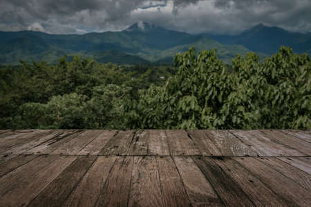 wooden table top in natural forest background.