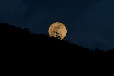 beautiful full moon rises over mountain.