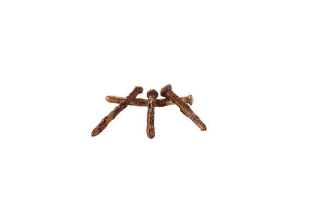 rusty nail isolated on white background.の写真素材