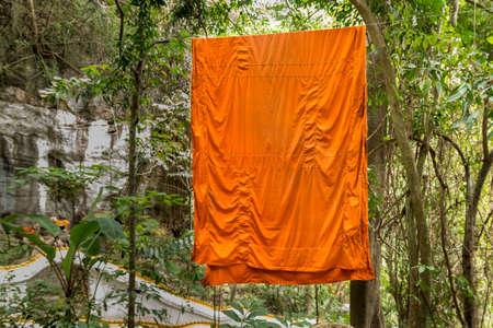 yellow robe of buddhist monk on clothes line in forest.yellow monk cloth wash and dry on clothline.の写真素材
