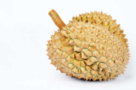 Durian isolated on white background
