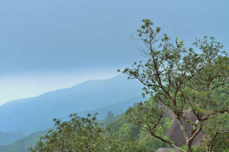 mountains green grass and blue sky landscape