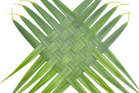 Woven green coconut leaves textureの写真素材