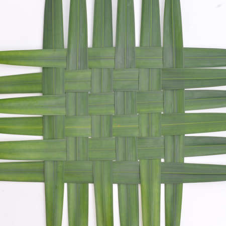 Woven green coconut leaves texture