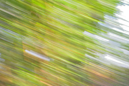 Motion blur of forest and sky backgroundの写真素材