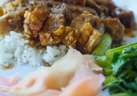 Duck and Crispy Pork over Rice with Sweet Gravy Sauce