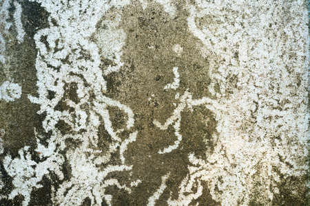 close up dirty concrete background , macro shot .の写真素材