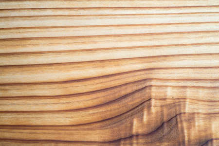 closed up wood texture background , macro modeの写真素材