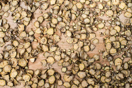 DryTinospora cordifolia, Menispermaceae herb for healthy.の写真素材