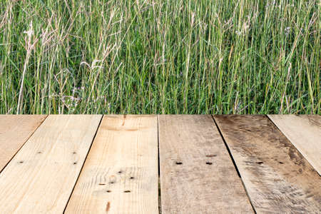 Field with a green grass , Wood planks floor.の写真素材