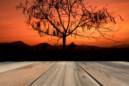 wood terrace with sunrise and sunset sky background.の写真素材