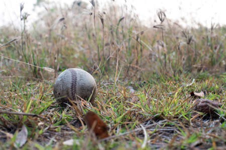 used baseball on the fresh green grass with copy spaceの写真素材