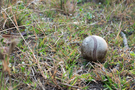 used baseball on the fresh green grass with copy spaceの写真素材