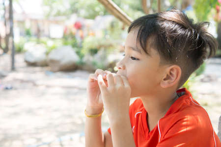 portrait of a boy eating bread ice cream roll sandwich
