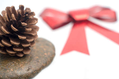Pine cones with red bow isolated on white background.の写真素材