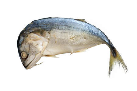 Streamed mackerel , Mackerel fish isolated on a white background..の写真素材