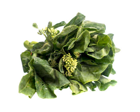 fresh baby broccoli isolated on a white background.