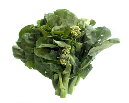 fresh baby broccoli isolated on a white background.