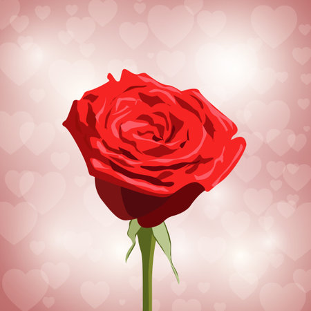 Red rose on heart background. Love concept. Valentine's Day. vector illustrationのイラスト素材